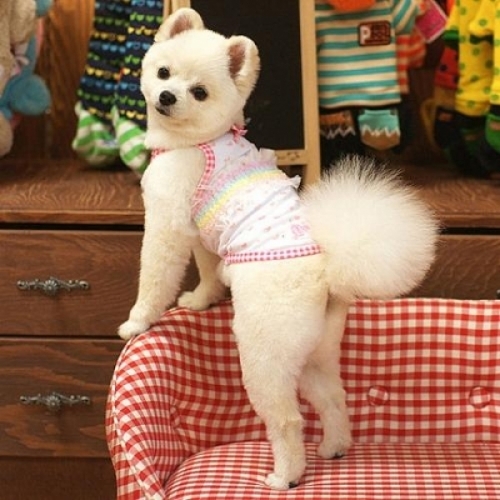 강아지옷 패리스독 봉봉 티셔츠  핑크