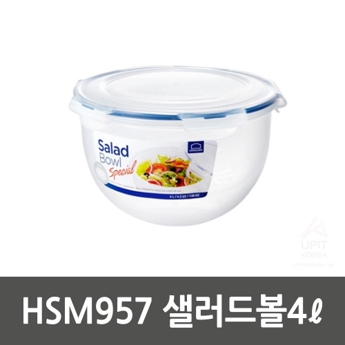 HSM957 샐러드볼4L_5801