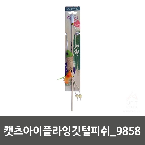 캣츠아이플라잉깃털피쉬_9858