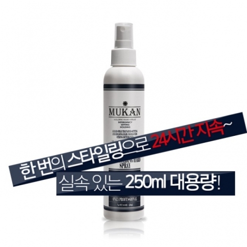 24 hours a day 홀딩 스프레이 250ml 헤어스프레이 강력스프레이 고정스프레이 스타일링스프레이