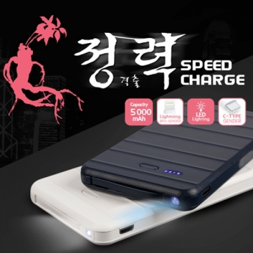 아리움 정격출력보조배터리5000mAh C타입 일체형