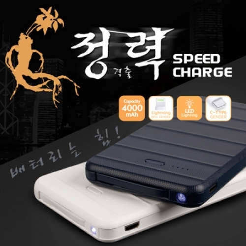 아리움 정격출력보조배터리4000mAh 5핀일체형 8핀 C타입젠더 포함