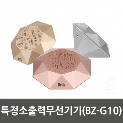 특정소출력무선기기(BZ-G10)