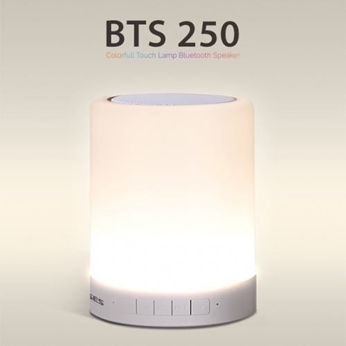 블루투스 스피커 휴대용 스피커 BTS-250