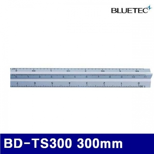 블루텍 4017220 삼각 스케일 BD-TS300 300mm  (1EA)