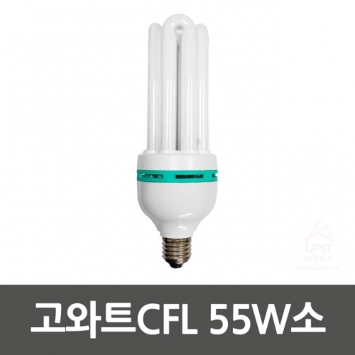 고와트CFL 55W소(전구색)EL55W_8587