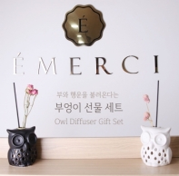 에멜시 emerci 천연방향제 부엉이디퓨저