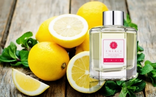 에멜시 emerci 원스 110ml 레몬유칼립투스 향