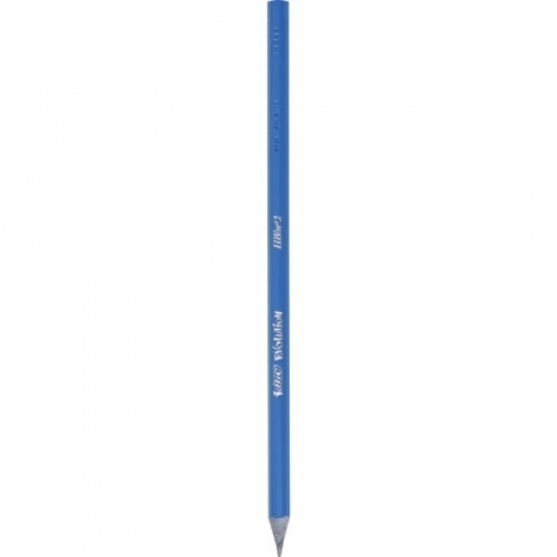 BIC)에볼루션 쿨컬러연필(HB 12개입) 연필