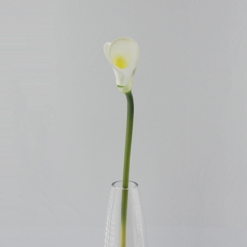 카라(소)(흰색) 조화장식 조화 인조꽃 조화꽃