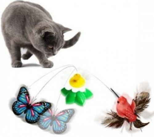 춤추는 나비와 벌새(랜덤발송)켓토이 고양이장난감