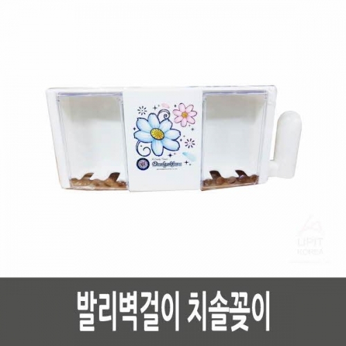 발리벽걸이 치솔꽂이