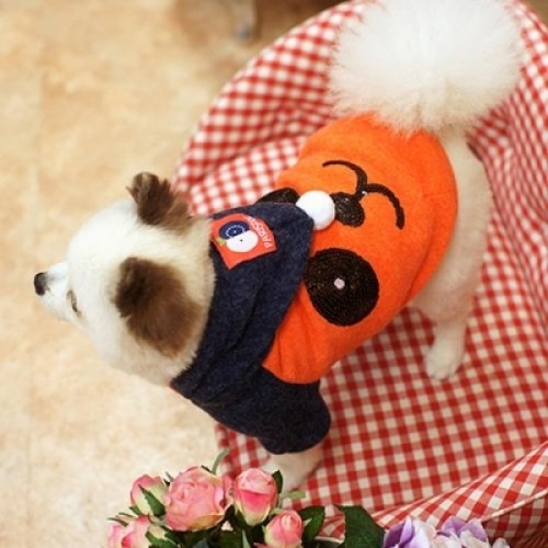 강아지옷 패리스독 팬더니트 후드티셔츠  오렌지
