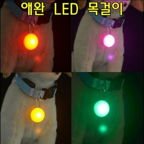 애완동물 LED 목걸이 색상랜덤발송 건전지포함
