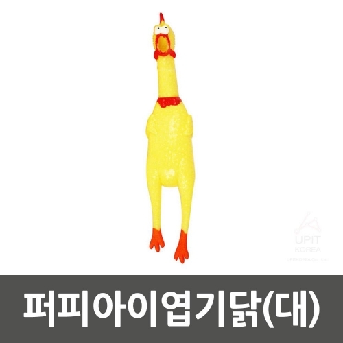 퍼피아이엽기닭 대_7809