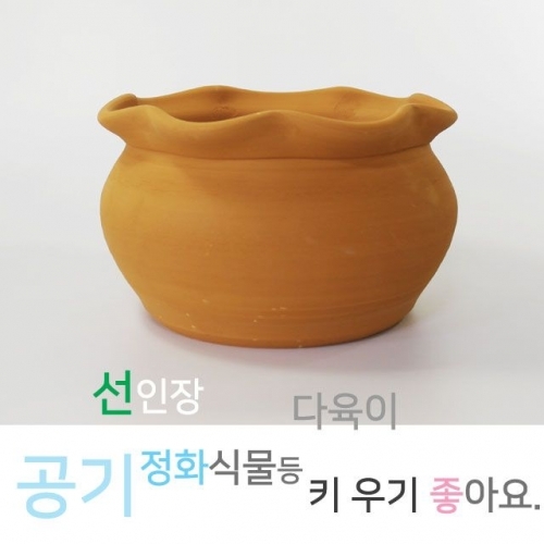 물결무늬 토기화분 다육화분 옹기토분