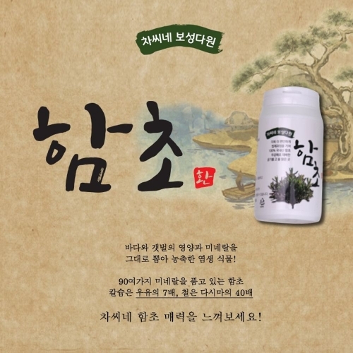 차씨네 보성다원 함초환 200g