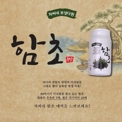 차씨네 보성다원 함초분말 180g