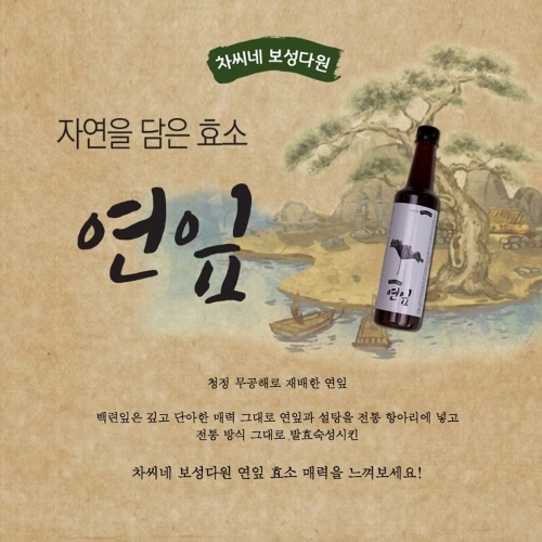 차씨네 보성다원 연잎 발효진액 500ml