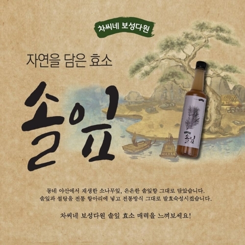 차씨네 보성다원 솔잎 발효진액 500ml