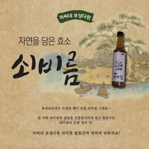 차씨네 보성다원 쇠비름 발효진액 500ml