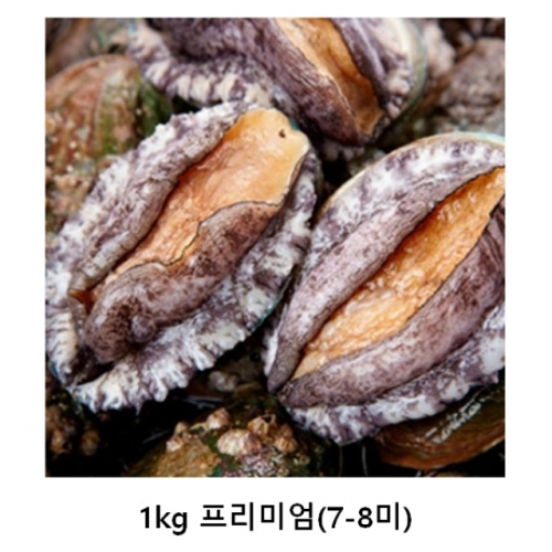 완도양식장 활전복 1kg 프리미엄(7-8미)