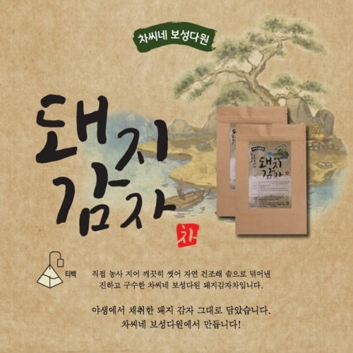 차씨네 보성다원 돼지감자차 티백 50개입