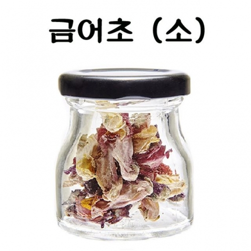 올차 금어초 2g 5잔 따뜻한 성질을 가지고 있으며 맛은 쓰고 향은 은은하다