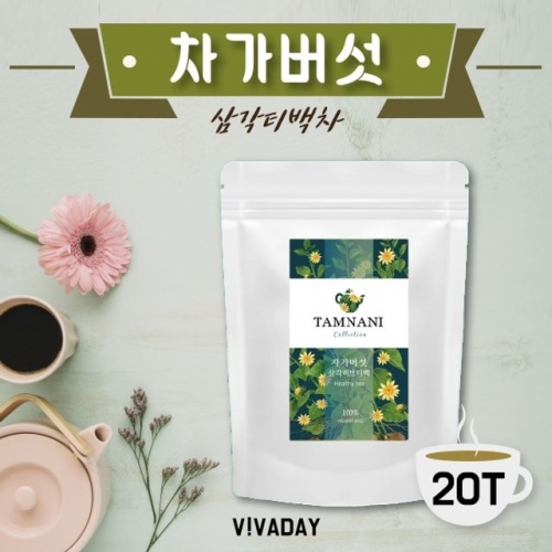 차가버섯 삼각티백차 20T