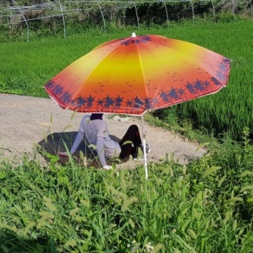 러브옥스 심플 비치 파라솔 간편설치 낚시