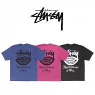 스투시 SS26 Stüssy ANY ANGLE TEE PIGMENT DYED 애니 엔젤 피그먼트 다이드 반팔티